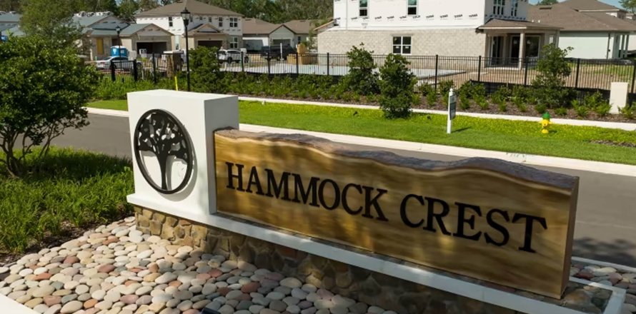 HAMMOCK CREST in Riverview, Florida № 205330