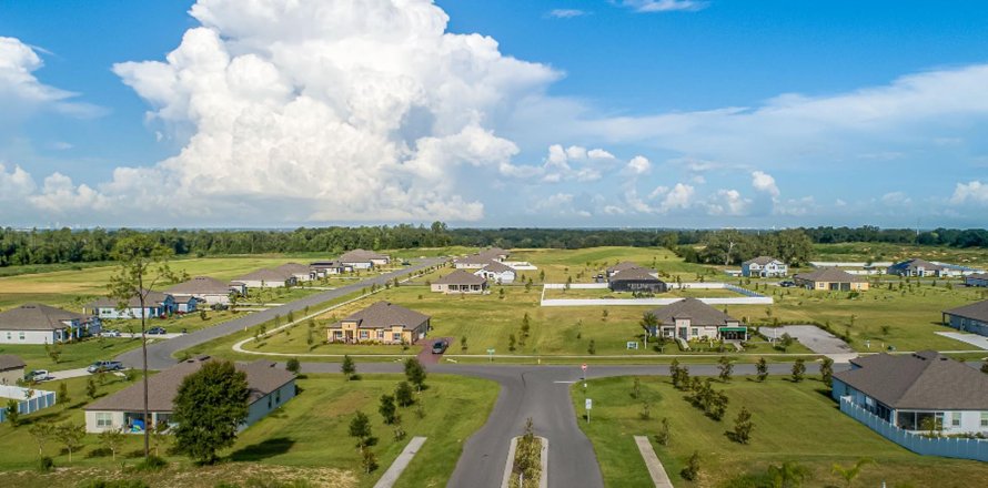 GRACELAND ESTATES à Thonotosassa, Floride № 197304