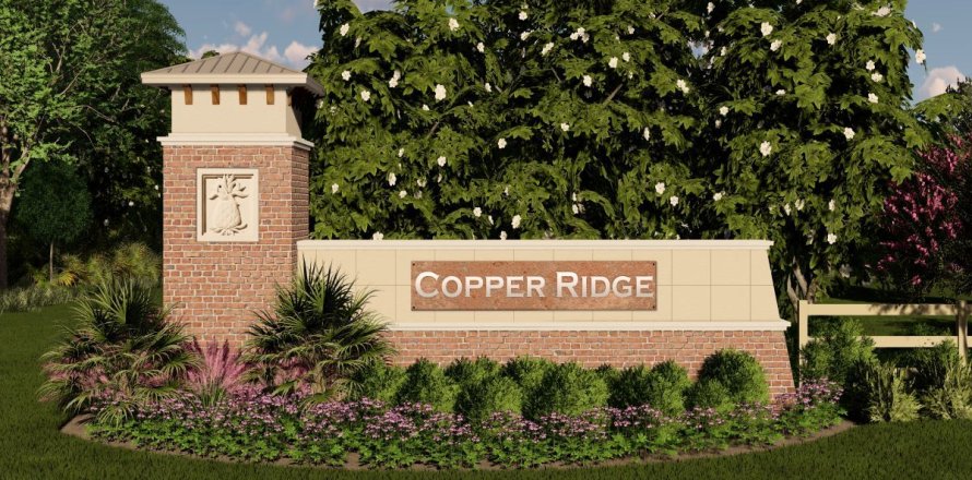 Copper Ridge sobre plano en Jacksonville, Florida № 422456