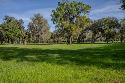 Land in Reddick, Florida № 1339600 - photo 1