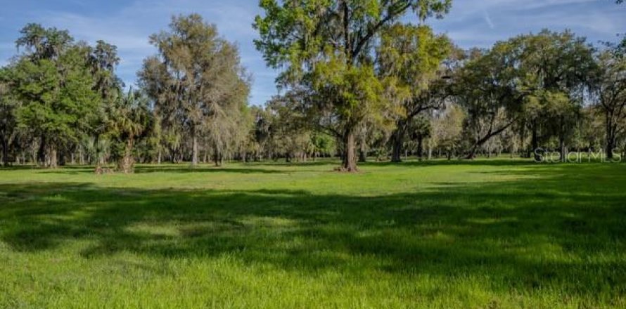 Land in Reddick, Florida № 1339600