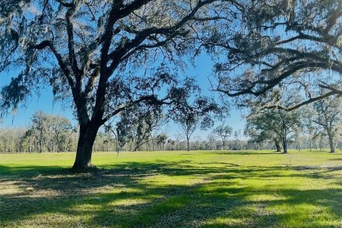 Land in Reddick, Florida № 1339600 - photo 3