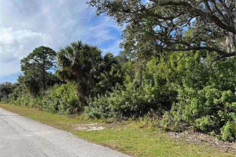 Terrain à vendre à Port Charlotte, Floride № 974874 - photo 2