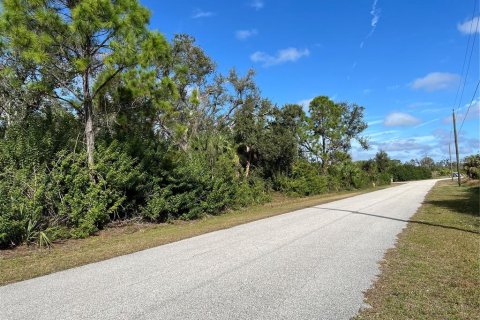 Купить земельный участок в Порт-Шарлотт, Флорида № 974874 - фото 3