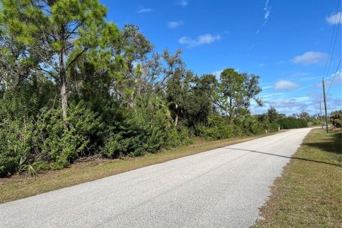 Terrain à vendre à Port Charlotte, Floride № 974874 - photo 3