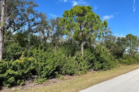 Terrain à vendre à Port Charlotte, Floride № 974874 - photo 4