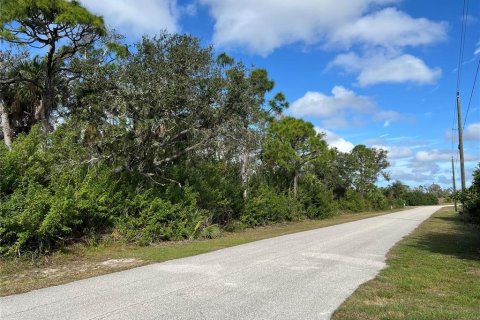 Land in Port Charlotte, Florida № 974874 - photo 1