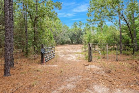 Terreno en venta en Spring Hill, Florida № 1382372 - foto 14