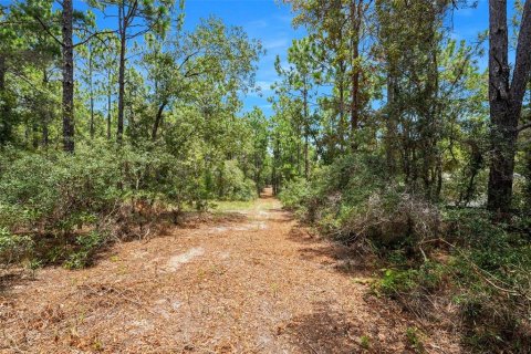 Terreno en venta en Spring Hill, Florida № 1382372 - foto 16