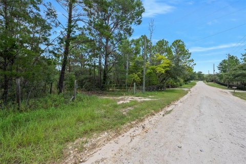 Terreno en venta en Spring Hill, Florida № 1382372 - foto 8