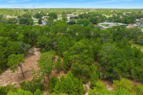 Terrain à vendre à Spring Hill, Floride № 1382372 - photo 23