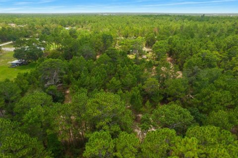 Terrain à vendre à Spring Hill, Floride № 1382372 - photo 22