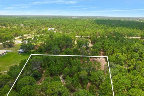 Terrain à vendre à Spring Hill, Floride № 1382372 - photo 4