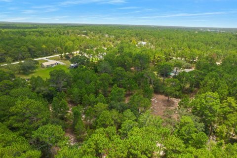 Terrain à vendre à Spring Hill, Floride № 1382372 - photo 28