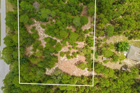 Terrain à vendre à Spring Hill, Floride № 1382372 - photo 6