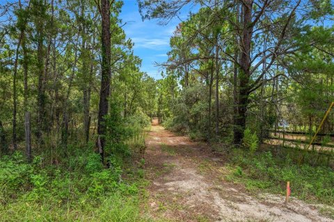 Terreno en venta en Spring Hill, Florida № 1382372 - foto 20