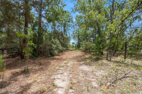 Terreno en venta en Spring Hill, Florida № 1382372 - foto 17