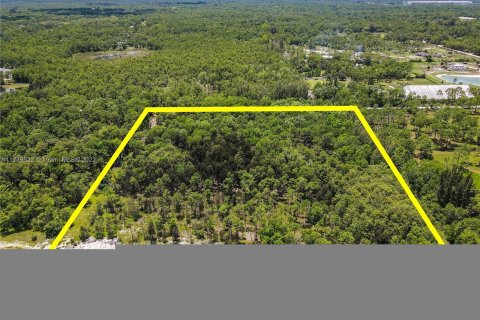 Купить земельный участок в Уэст-Палм-Бич, Флорида № 24212 - фото 8