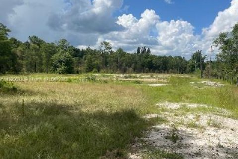 Купить земельный участок в Уэст-Палм-Бич, Флорида № 24212 - фото 5