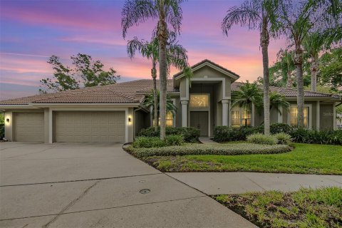 Villa ou maison à vendre à Tampa, Floride: 5 chambres, 374.3 m2 № 1369897 - photo 1