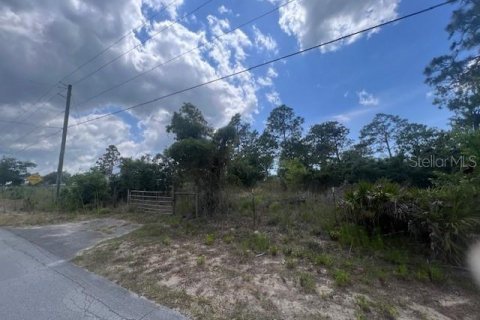 Land in Spring Hill, Florida № 1334843 - photo 2