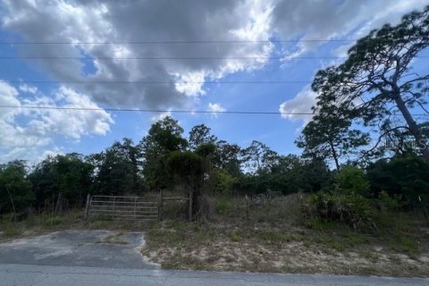 Land in Spring Hill, Florida № 1334843 - photo 1