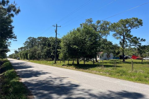 Land in Clewiston, Florida № 1118429 - photo 1