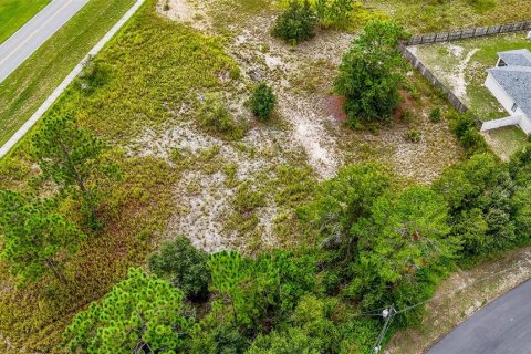 Terrain à vendre à Ocala, Floride № 1361868 - photo 6