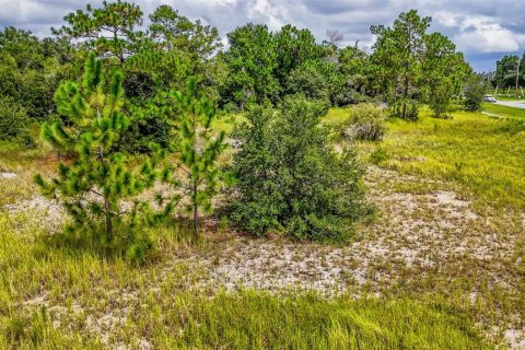 Land in Ocala, Florida № 1361868 - photo 18