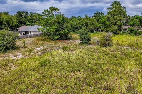 Land in Ocala, Florida № 1361868 - photo 17