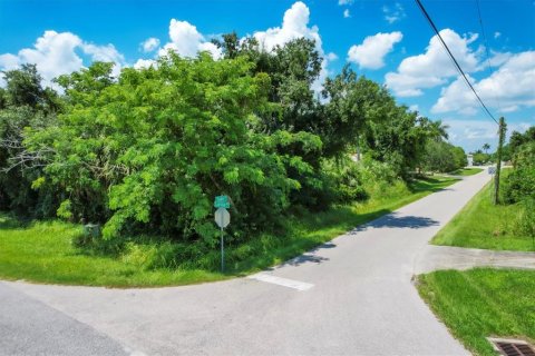 Terrain à vendre à Punta Gorda, Floride № 1279075 - photo 6