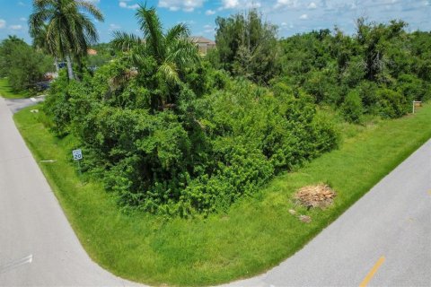 Land in Punta Gorda, Florida № 1279075 - photo 4