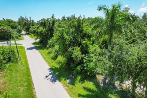 Terreno en venta en Punta Gorda, Florida № 1279075 - foto 12