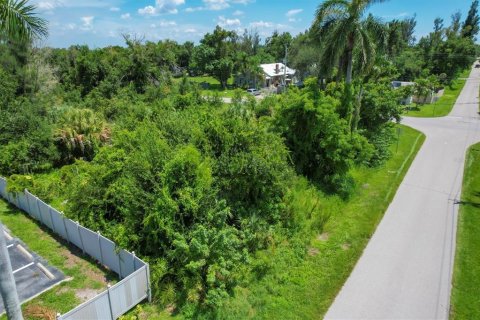 Terreno en venta en Punta Gorda, Florida № 1279075 - foto 11