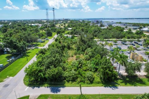 Terreno en venta en Punta Gorda, Florida № 1279075 - foto 17