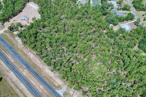 Land in Wildwood, Florida № 1341106 - photo 23