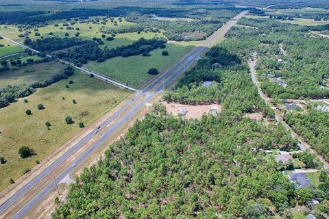 Terreno en venta en Wildwood, Florida № 1341106 - foto 29