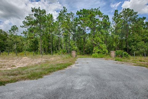 Land in Wildwood, Florida № 1341106 - photo 1