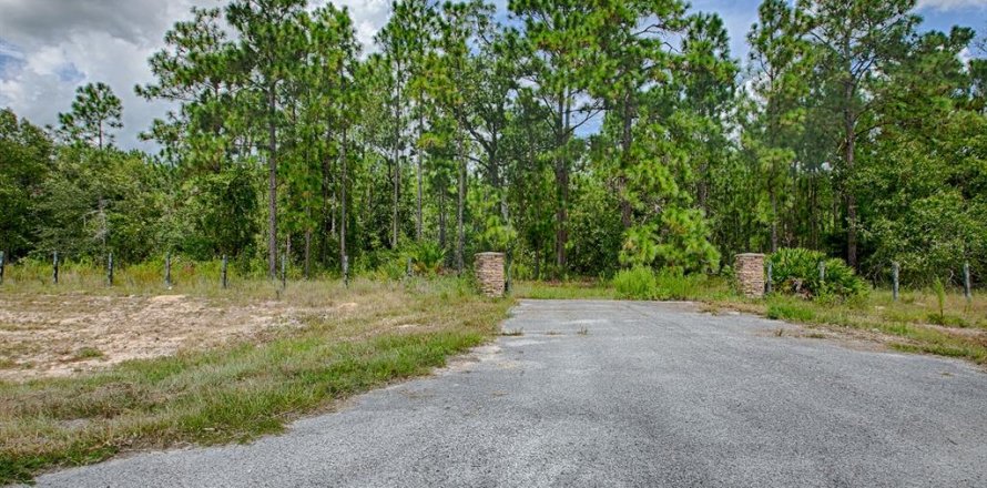 Terreno en Wildwood, Florida № 1341106