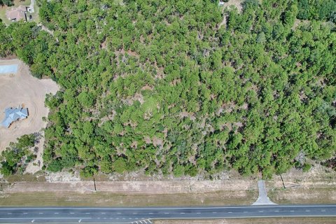 Terrain à vendre à Wildwood, Floride № 1341106 - photo 21