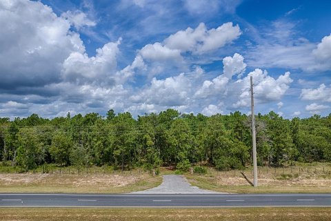 Terreno en venta en Wildwood, Florida № 1341106 - foto 2