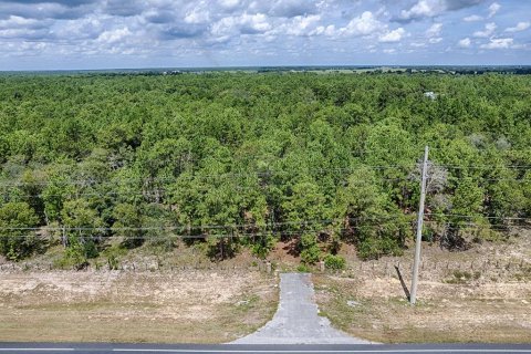 Land in Wildwood, Florida № 1341106 - photo 3