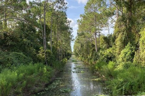 Купить земельный участок в Палм-Кост, Флорида № 221239 - фото 3