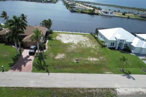 Land in Cape Coral, Florida № 1334741 - photo 24