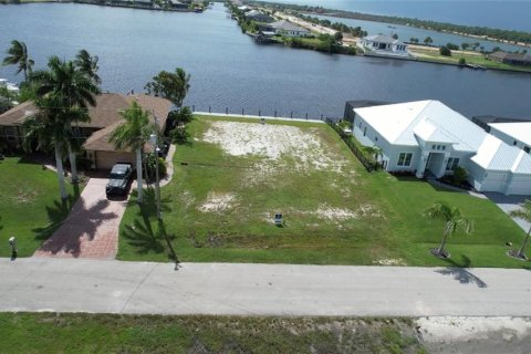 Land in Cape Coral, Florida № 1334741 - photo 23