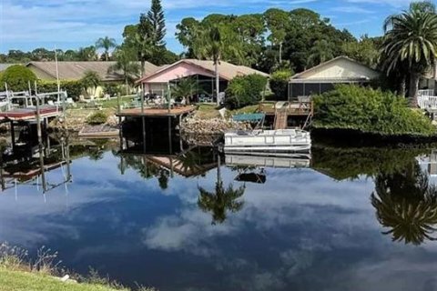 Condo in New Port Richey, Florida, 1 bedroom  № 1378195 - photo 5