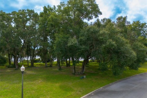 Land in DeLand, Florida № 1378150 - photo 15