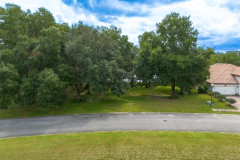 Land in DeLand, Florida № 1378150 - photo 16