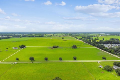 Terreno en venta en Dade City, Florida № 1273621 - foto 7