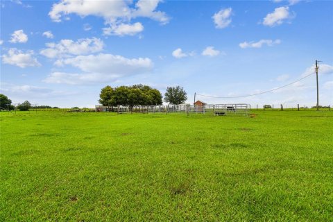 Terreno en venta en Dade City, Florida № 1273621 - foto 29